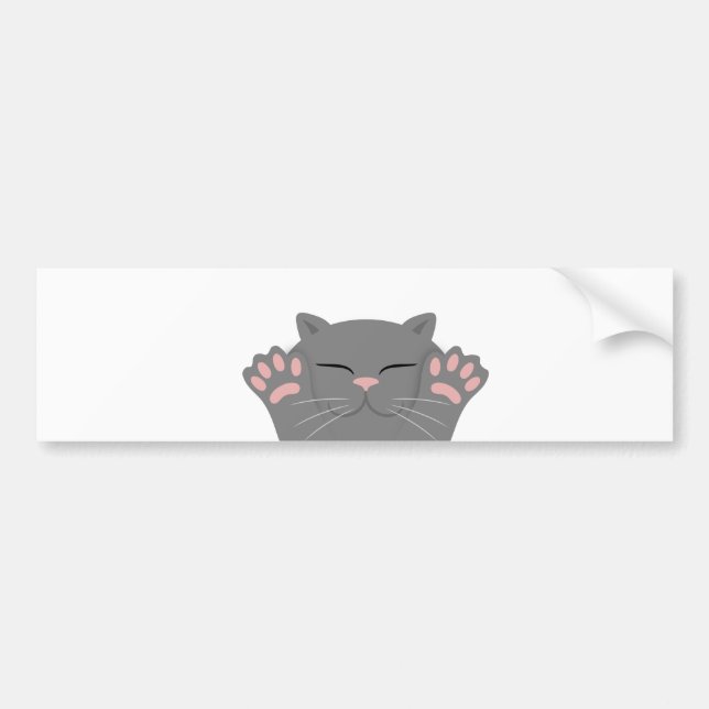 Cat Sleeping Bumper Sticker (Front)
