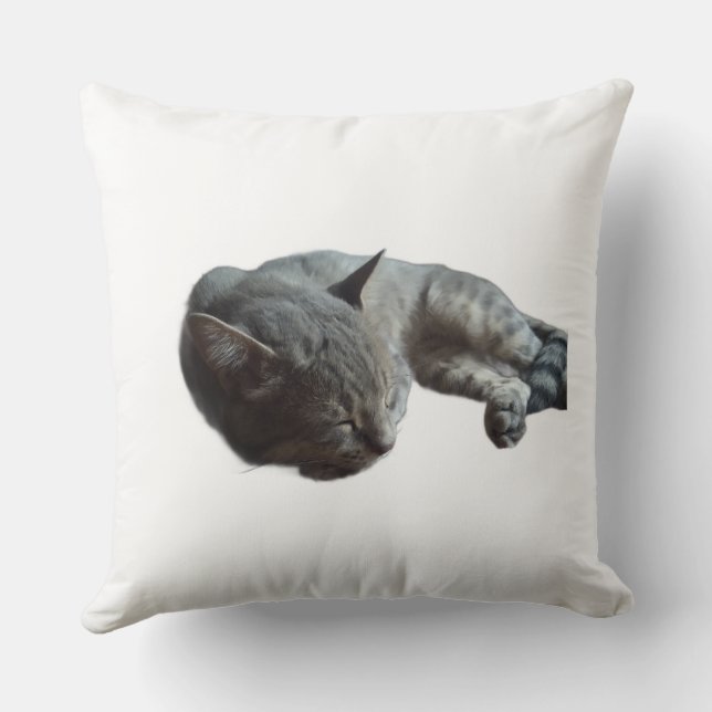 Cat sleeping cushion (Back)