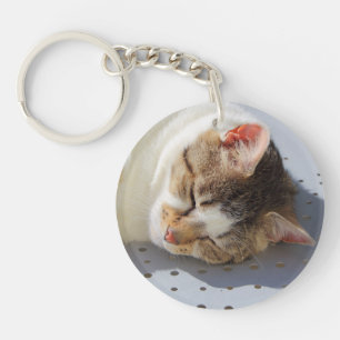 Cat sleeping in a garden key ring