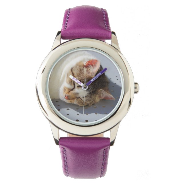 Cat sleeping in a garden watch (Front)