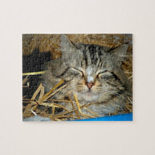 Cat Sleeping Kitty Photo  Jigsaw Puzzle