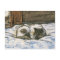 Cat Sleeping on a Bed by Claude Monet