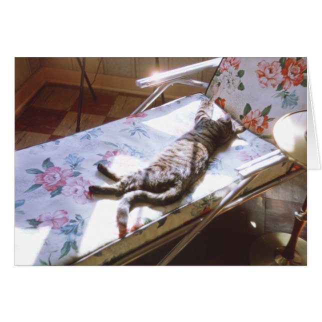 Cat Sleeping on Chaise Lounge Retro Kitten Picture (Front Horizontal)