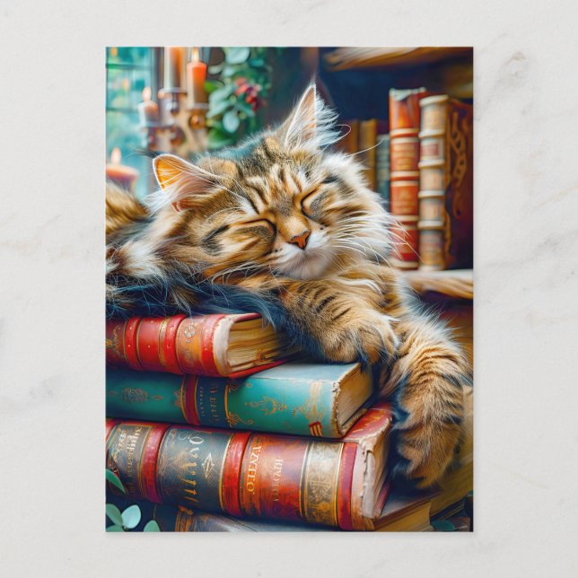 Cat Sleeping on Pile of Books Postcard (Front)