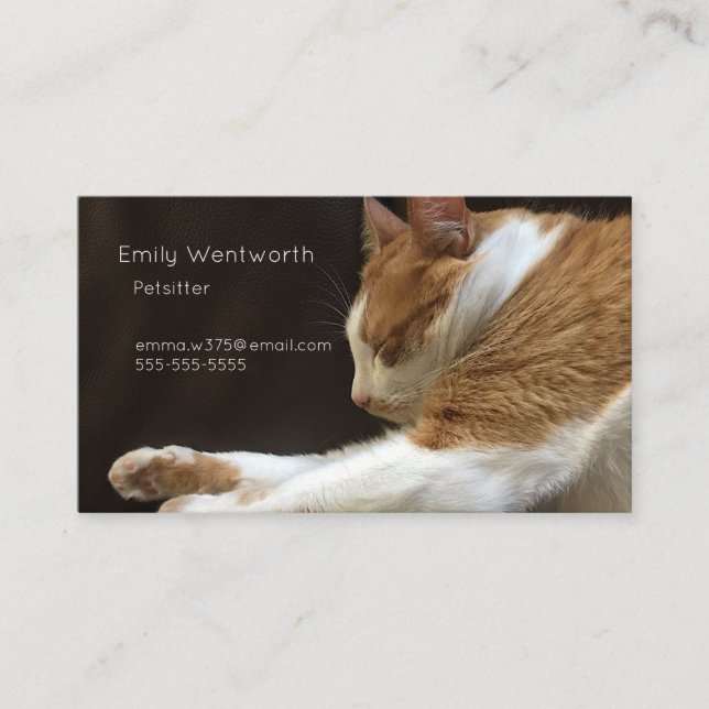 Cat sleeping on sofa business card (Front)
