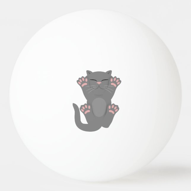 Cat Sleeping Ping Pong Ball (Front)