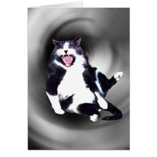 Cat Sliding Down on card