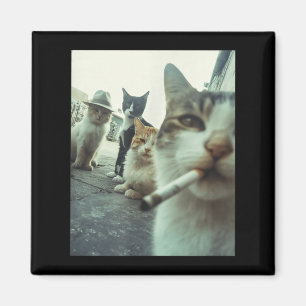 Cat Smoking Funny Gangster Cats Funny Meme Pet Magnet