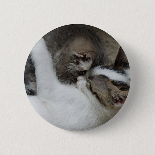 Cat Snuggles Button (Front)