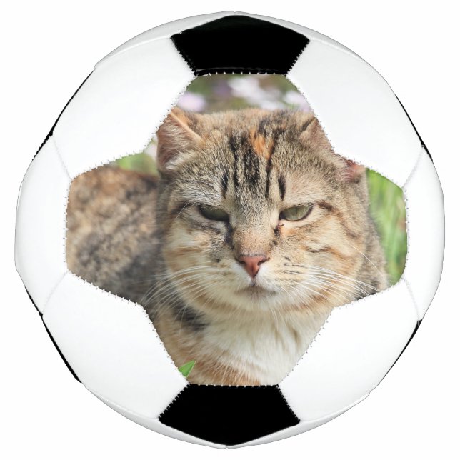 Cat Soccer Ball (Front)