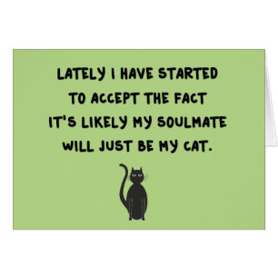 Cat Soulmate