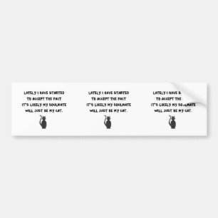 Cat Soulmate Bumper Sticker