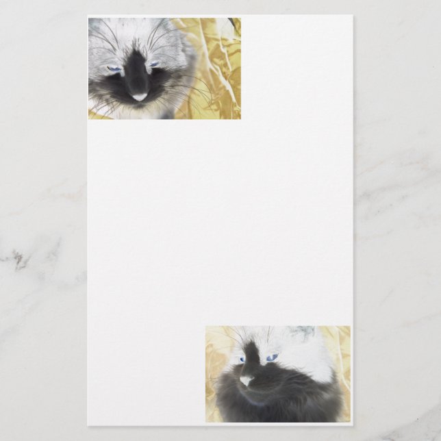 Cat Special Effects Stationery (Front)