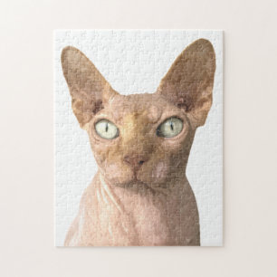 Cat Sphynx Portrait Jigsaw Puzzle