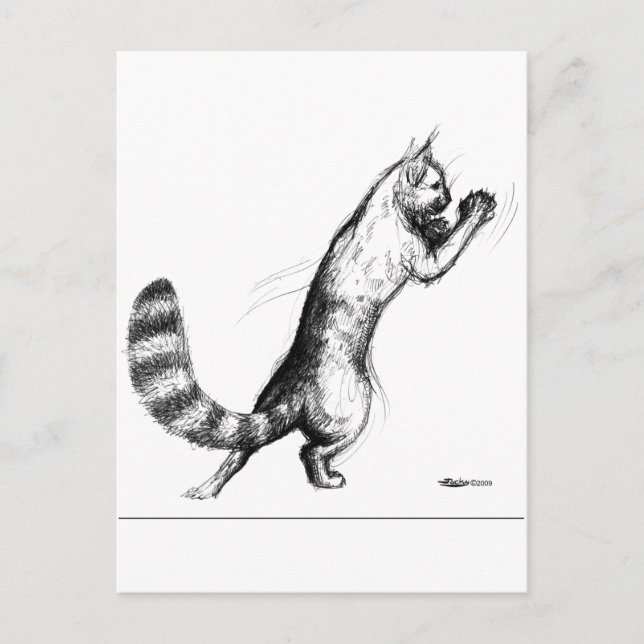 Cat Springing2 Postcard (Front)