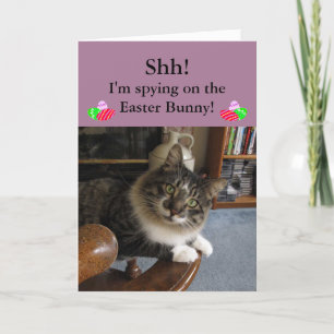 Cat Spying on Easter Bunny Easter Card