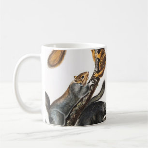 Cat Squirrel (Sciurus cinereus) Illustration Coffee Mug