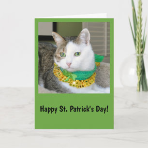 Cat St. Patrick's day card