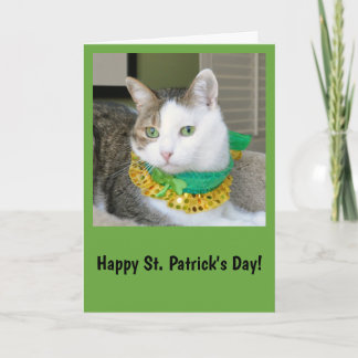 Cat St. Patrick's day card