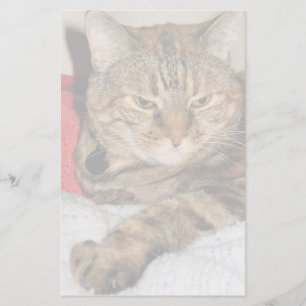 Cat Stationery