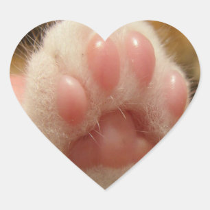 Cat sticker