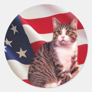 Cat Sticker All American