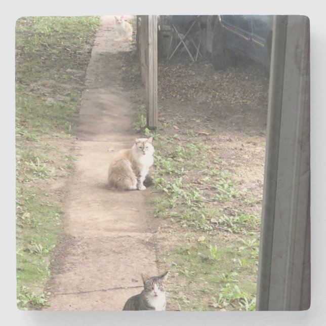 Cat Stone Coaster (Front)