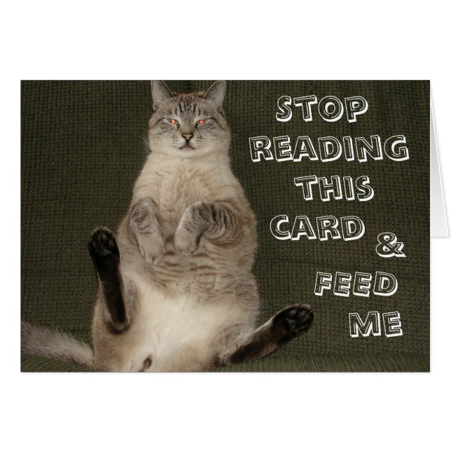 Cat "STOP READING THIS CARD & FEED ME" Card (Front Horizontal)