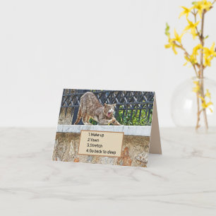 CAT STRETCHING AND YAWNING/MORNING ROUTINE CARD