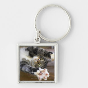 Cat stretching, indoors key ring