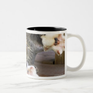 Cat stretching, indoors Two-Tone coffee mug