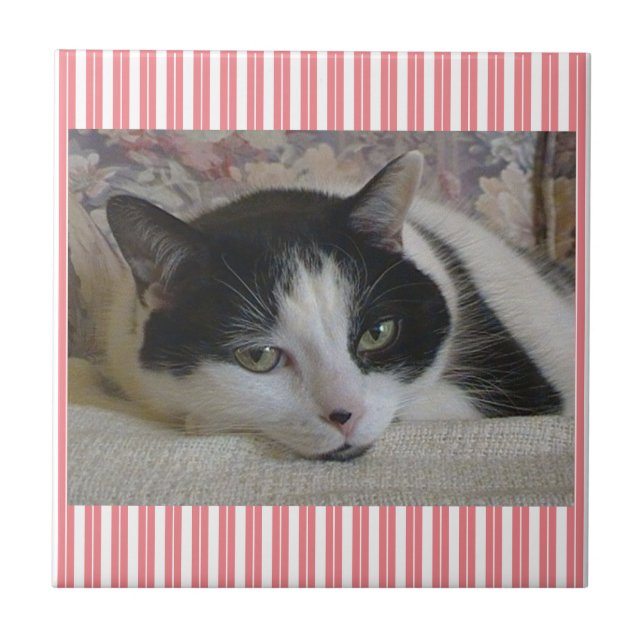 Cat Striped Ceramic Tile (Front)