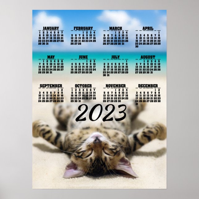 Cat Sunbathing at the Beach 2023 Calendar Poster (Front)