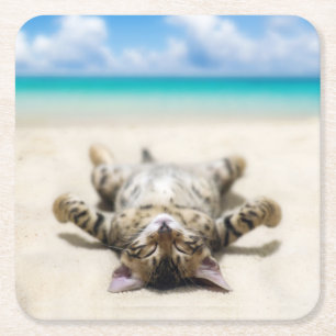 Cat Sunbathing at the Beach  Square Paper Coaster