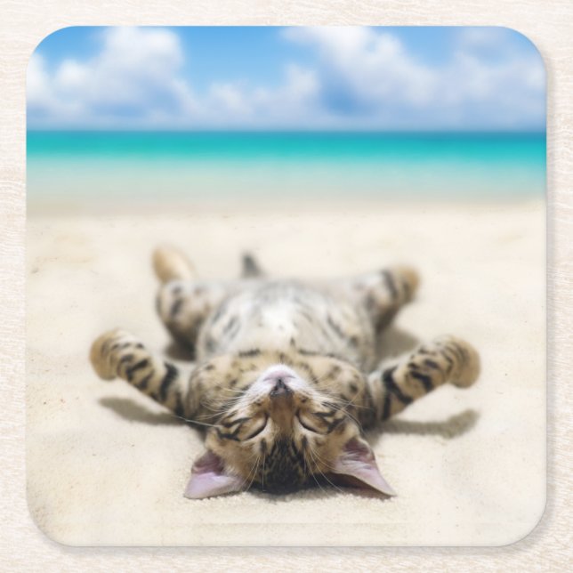 Cat Sunbathing at the Beach  Square Paper Coaster (Front)