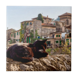 Cat sunbathing on a wall - Valldemossa, Mallorca Ceramic Tile