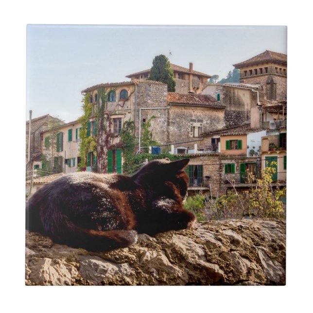 Cat sunbathing on a wall - Valldemossa, Mallorca Ceramic Tile (Front)