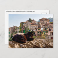 Cat sunbathing on a wall - Valldemossa, Mallorca