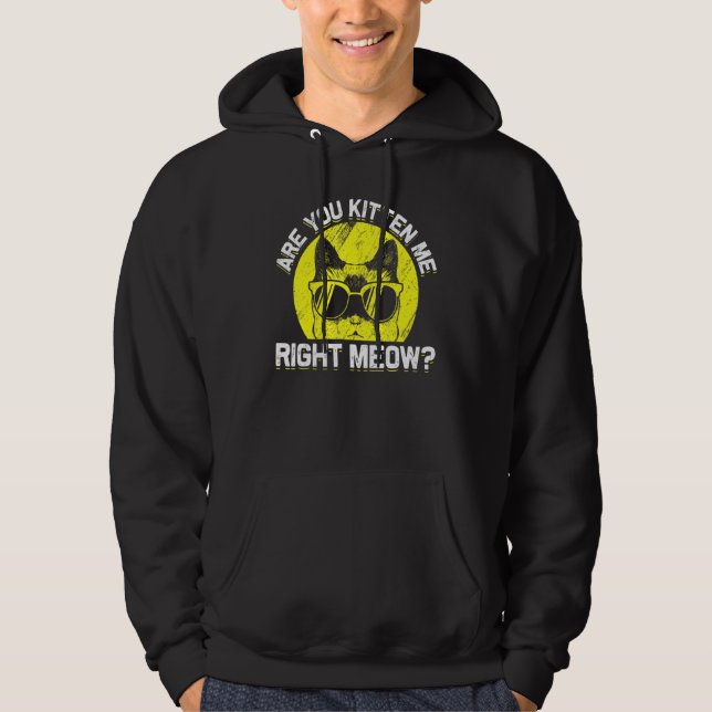 Cat Sunglasses Humour Joke Teller Humour Hoodie (Front)
