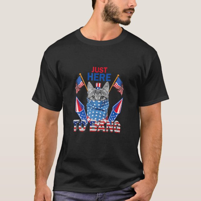 Cat Sunglasses Just Here O Bang  Fireworks 4 H Of  T-Shirt (Front)