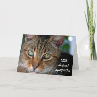 Cat sympathy 2 card