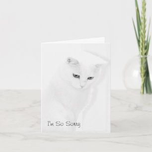 Cat Sympathy Card