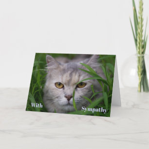 Cat Sympathy Card Personalised Pet Memorial