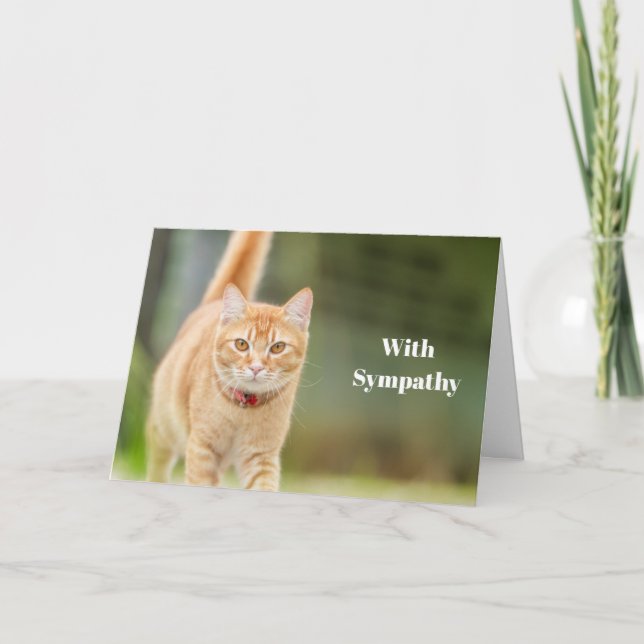 Cat Sympathy Card Personalised Pet Memorial  (Front)