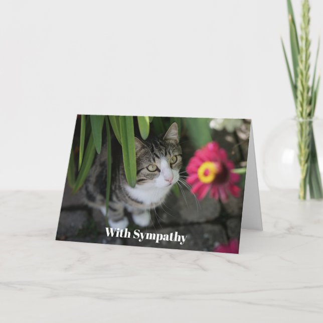 Cat Sympathy Card Personalized Pet Memorial  (Front)
