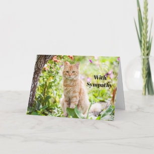Cat Sympathy Card Personalized Pet Memorial 