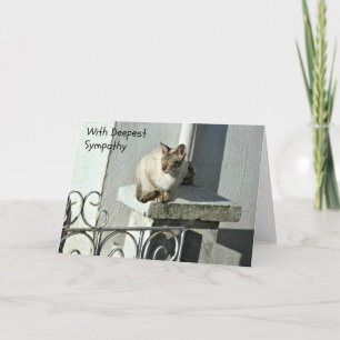 Cat Sympathy Card with Grey and White Cat