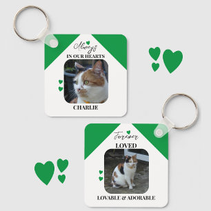 Cat Sympathy Keepsake Pet Memorial green Key Ring