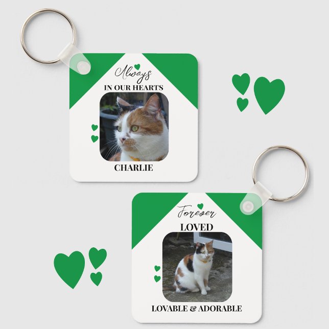 Cat Sympathy Keepsake Pet Memorial green Key Ring (Creator Uploaded)
