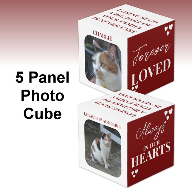 Cat Sympathy Keepsake Pet Memorial maroon photo Cube (Creator Uploaded)